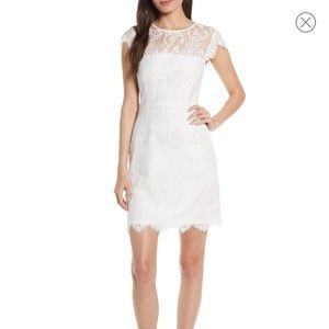 BB Dakota Jayce Lace Sheath Cocktail Dress